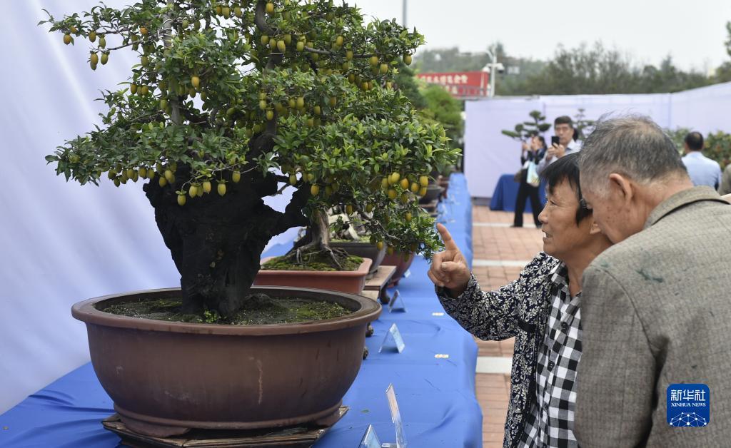 必赢优惠大厅